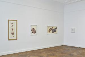 2026_REQ_Installation Views_Galerie Michael Werner, Berlin_Photo Sebastian Eggler